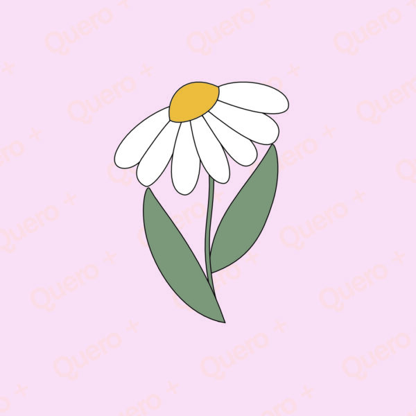 MARGARIDA 001