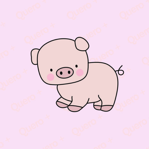 PORQUINHO